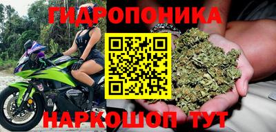 ECSTASY Севастополь
