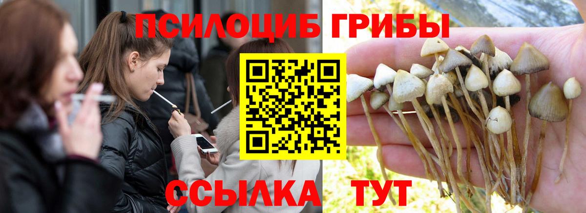 Псилоцибиновые грибы MAGIC MUSHROOMS  Вход с VPN  Петрозаводск 